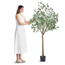 VEVOR Artificial Eucalyptus Tree, 6 FT Tall Faux Plant, Secure PE Material & Anti-Tip Tilt Protection Low-Maintenance Plant, Lifelike Green Fake Potted Tree for Home Office Decor Indoor Outdoor