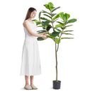 VEVOR Artificial Fiddle Leaf Fig Tree, 6 FT, Secure PE Material & Anti-Tip Tilt Protection Low-Maintenance Faux Plant, Lifelike Green Fake Potted Tree for Home Office Warehouse Decor Indoor Outdoor