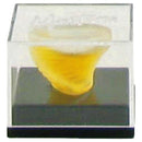 Montana by MontanaMini EDT .07 ozWomen(cologne, perfume, fragrance)